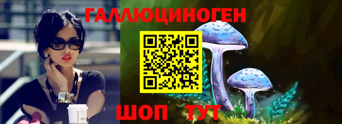 Лиски  Галлюциногенные грибы Psilocybine cubensis  Вход с VPN 